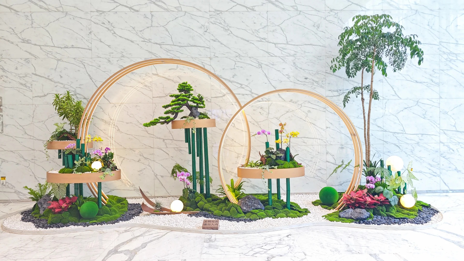 专业引领,宁波杭州湾盆景租赁的优质之选